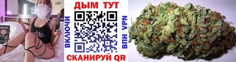 Каннабис индика  Таруса 